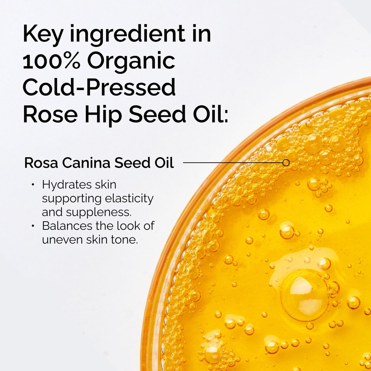 100-organic-cold-pressed-rose-hip-seed-oil-l6 FY25-D41247-ORD-Web-PDP-100-Rose-Hip-Oil-1x1-EN-2.jpg