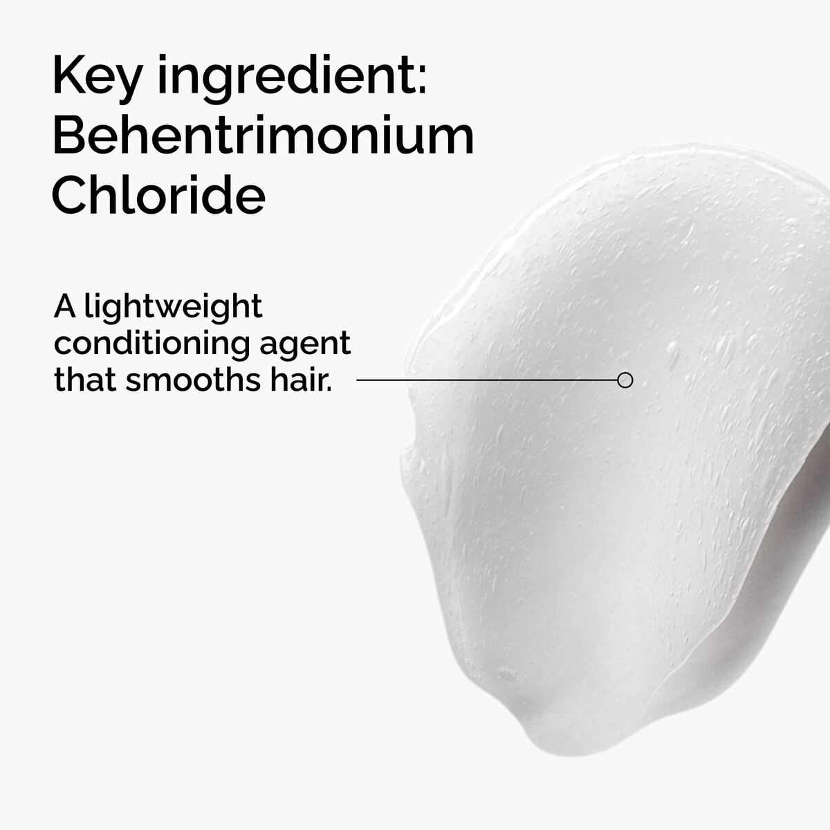 behentrimonium-chloride-2-conditioner-x2 FY25-D41247-ORD-Web-PDP-BTC-1x1-EN-2a.jpg