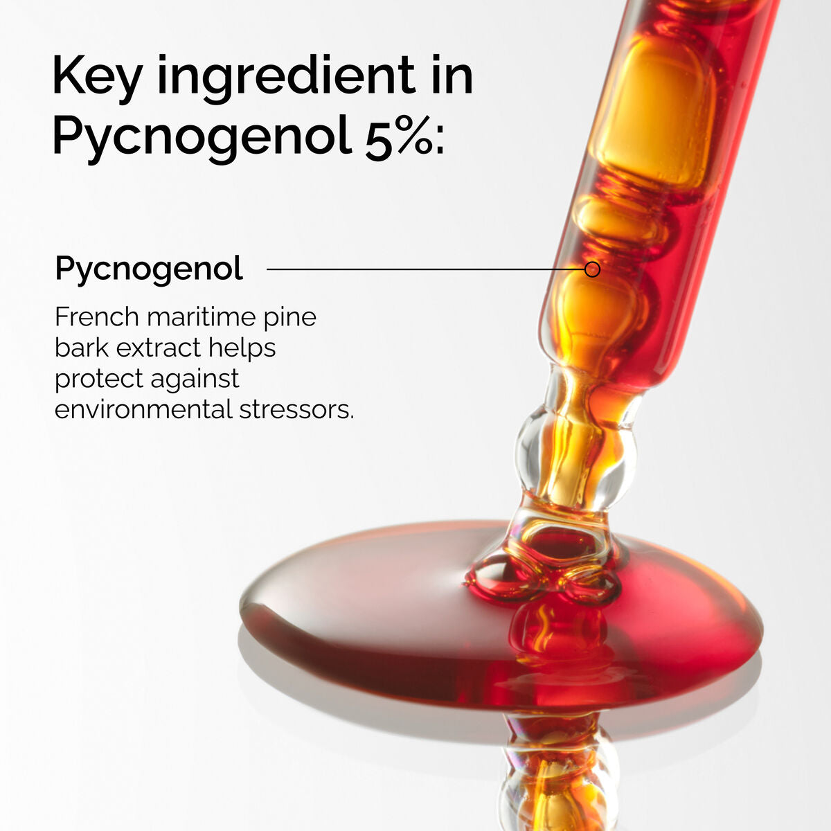 pycnogenol-5-n2 FY25-D41247-ORD-Web-PDP-Pyc-5pct-1x1-EN-2a.jpg