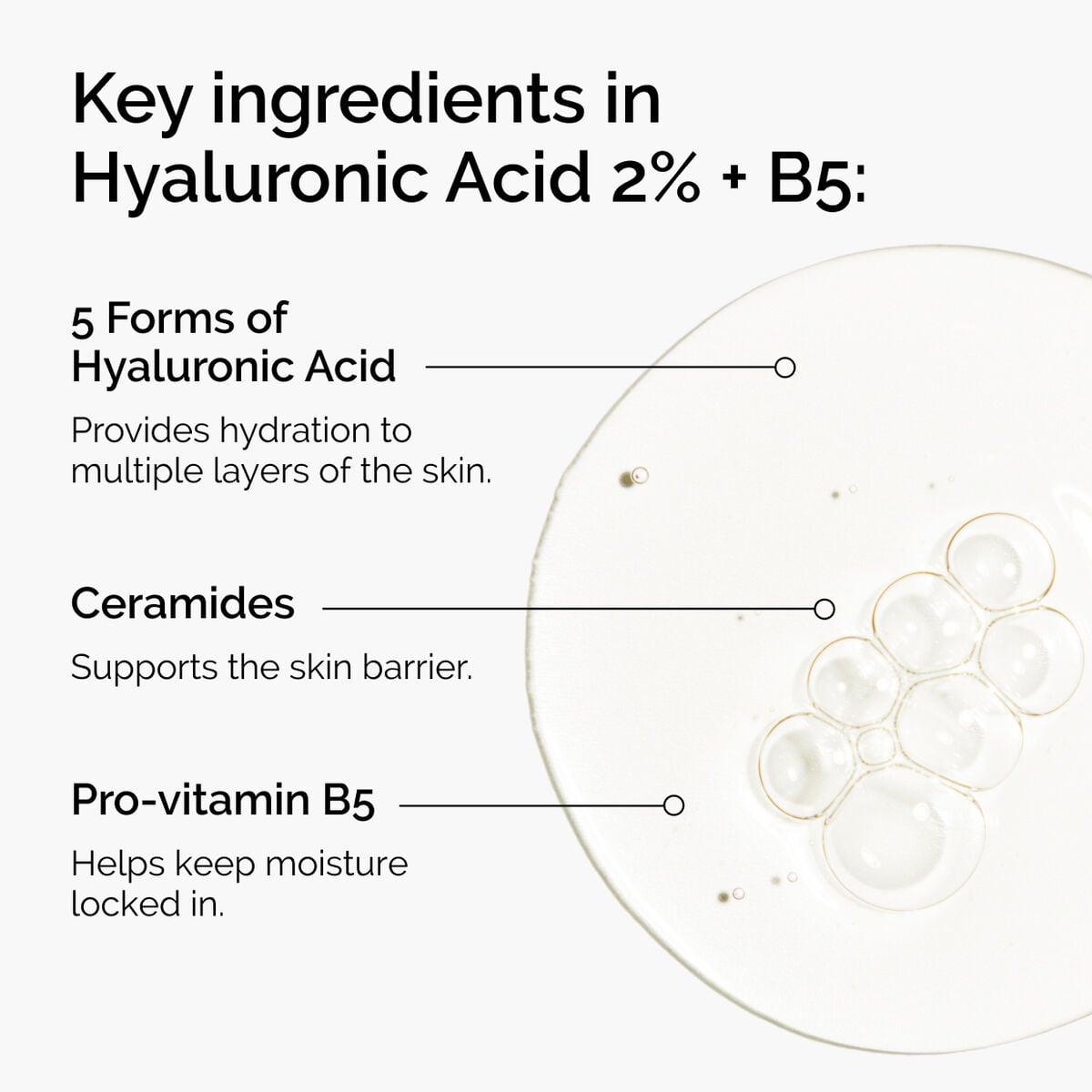 hyaluronic-acid-2-b5-with-ceramides-n2 ord-hyaluronic-acid-2pct-b5-hydrating-serum-ingredients-graphic.jpg