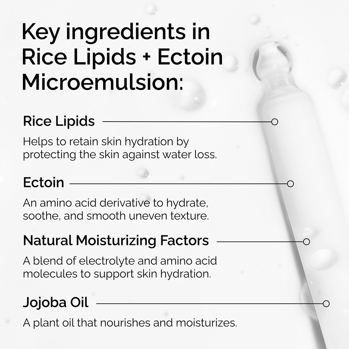 rice-lipids-ectoin-microemulsion-u7 ord-rice-lipids-ectoin-microemulsion-key-ingredients.png