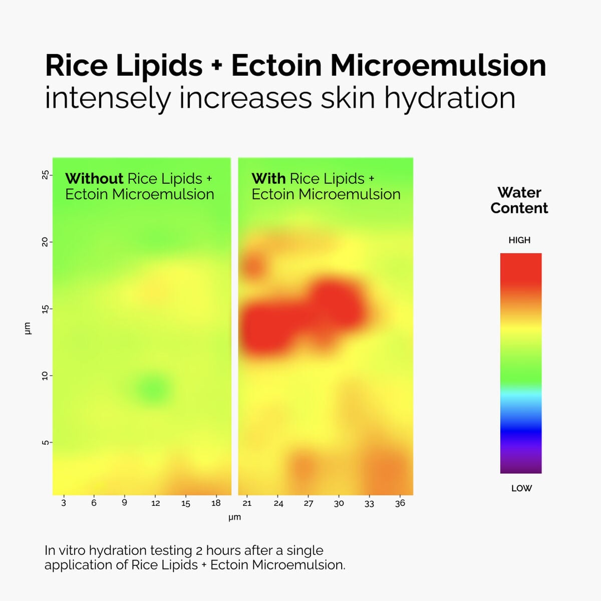 rice-lipids-ectoin-microemulsion-u7 ord-rice-lipids-ectoin-microemulsion-thermal-before-after.jpg